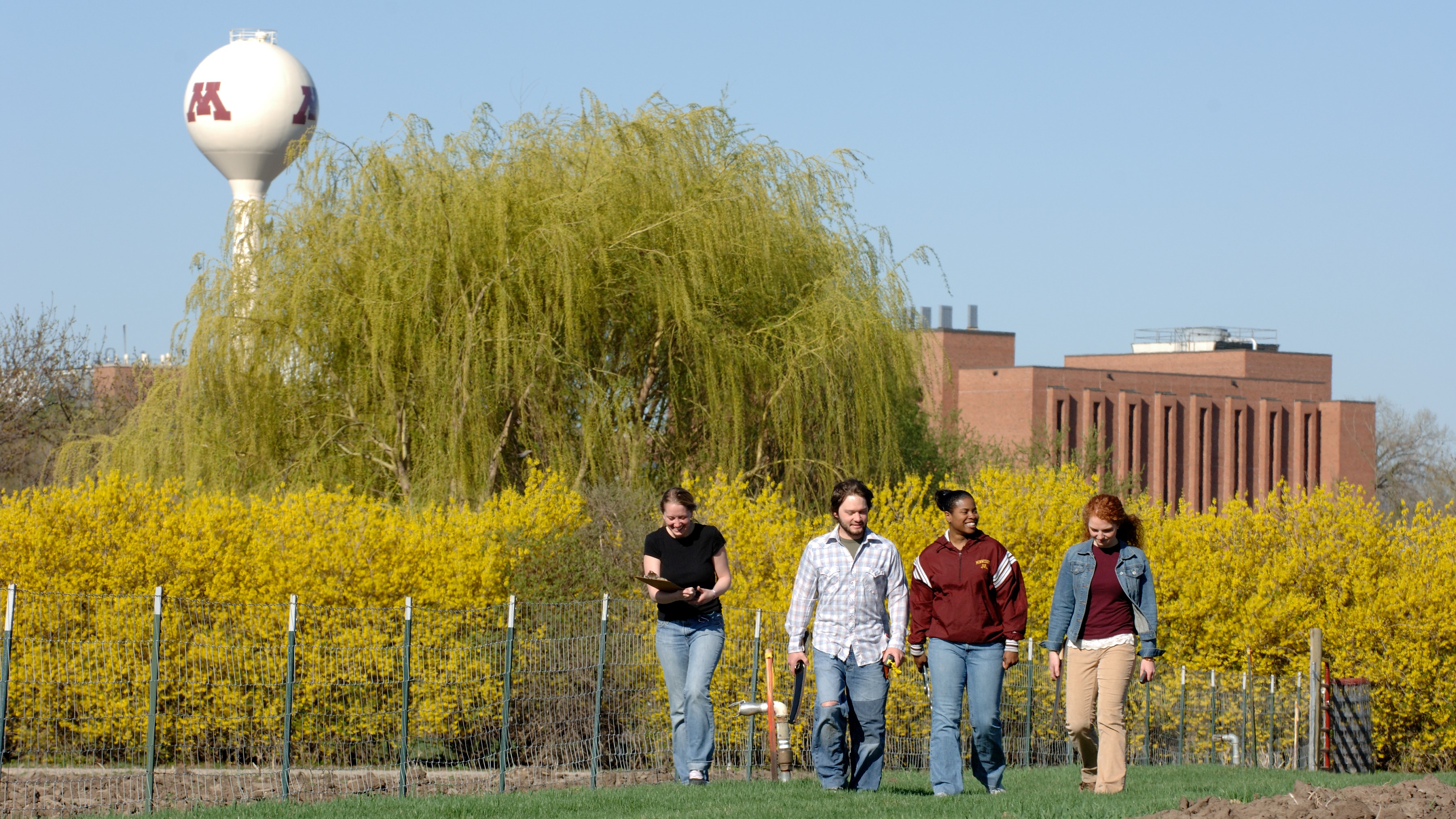 Four diverse students walking on the St. Paul campus; the M water tower is in the background.
