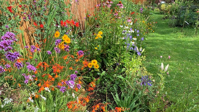 A photo of colorful flowers in a garden along a fence