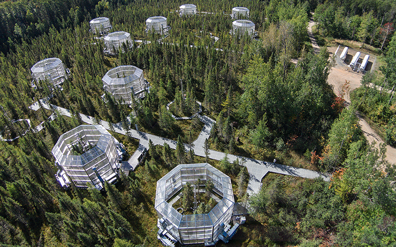 An aerial photo of a forest with several research stations