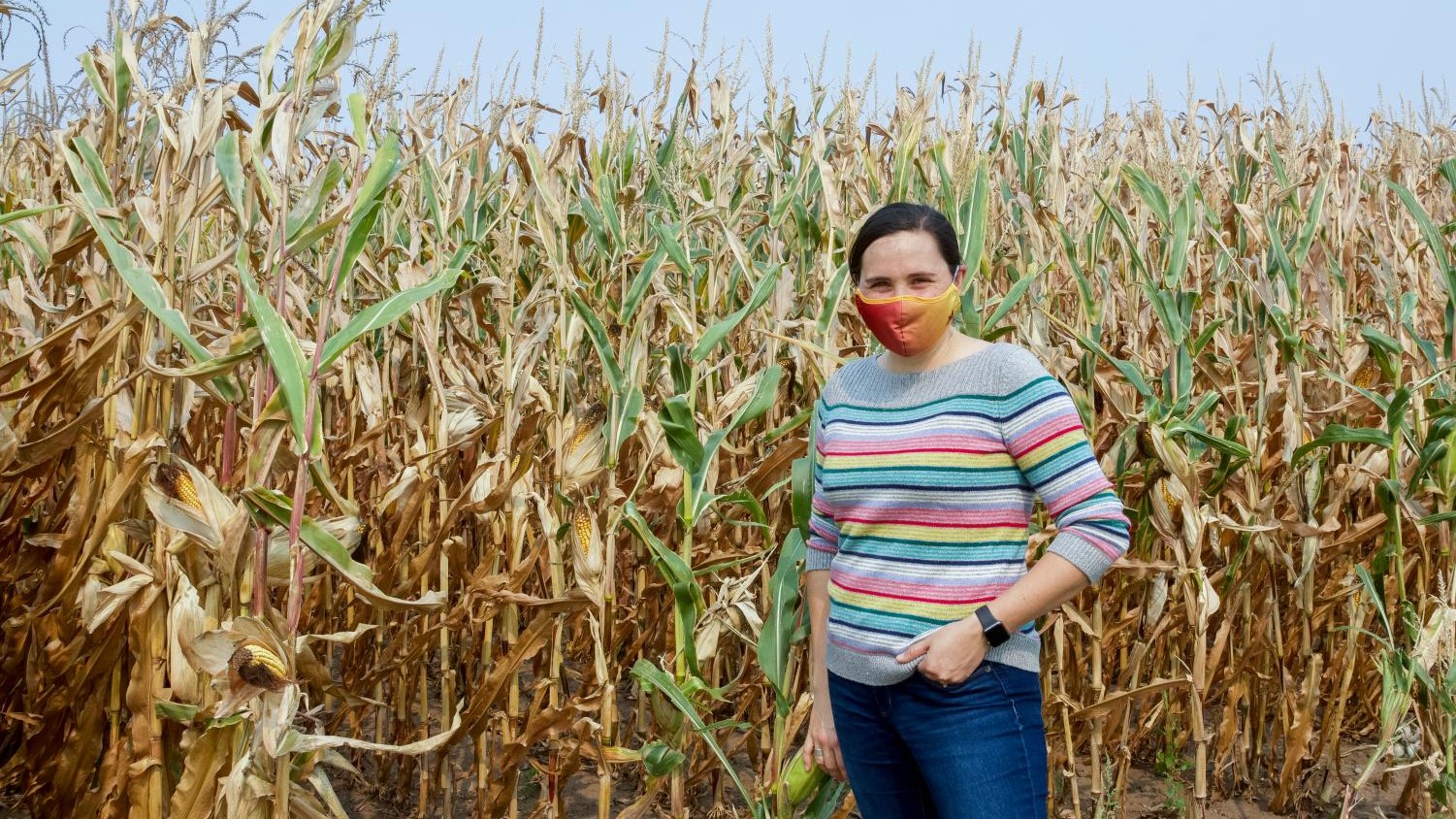 A photo of Heidi Roop standing by a corn field and wearing a mask