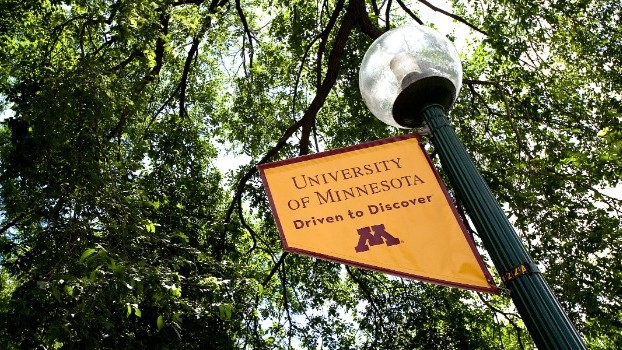 A photo of a University of Minnesota banner on a light post with leafy trees in the background