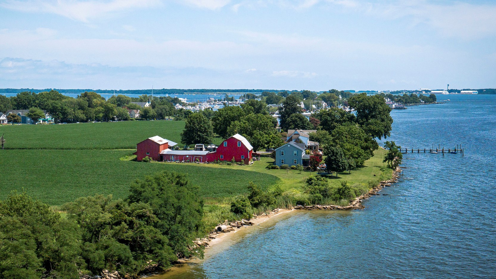 A photo of a farm with a red barn growing soy beans along the Patuxent River in Maryland; photo by the USDA.