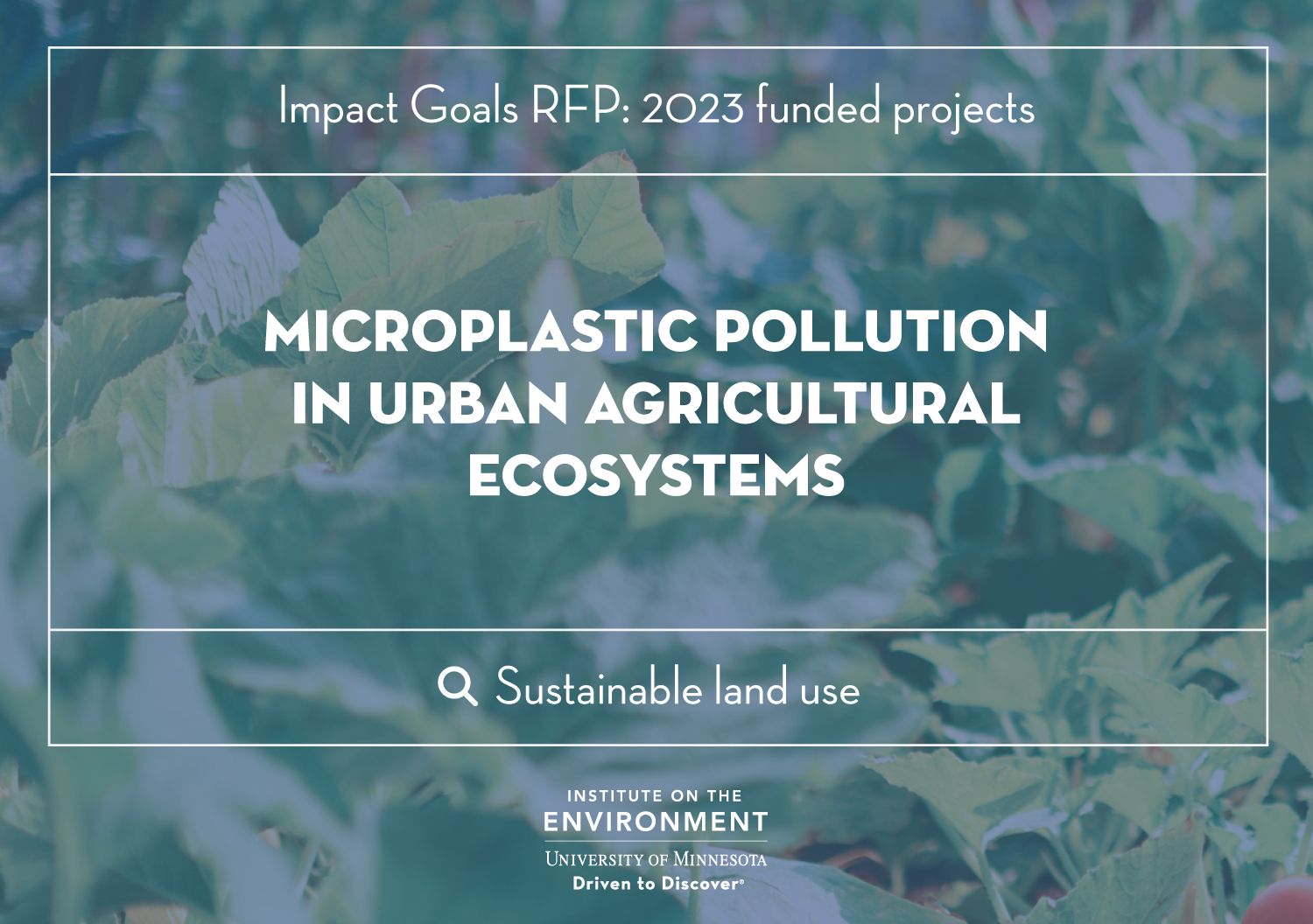 An image of leaves with text that says "Microplastic pollution in urban agricultural ecosystems"