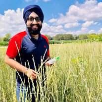 A photo of Gurparteet (GP) Singh conducting research in a corn field