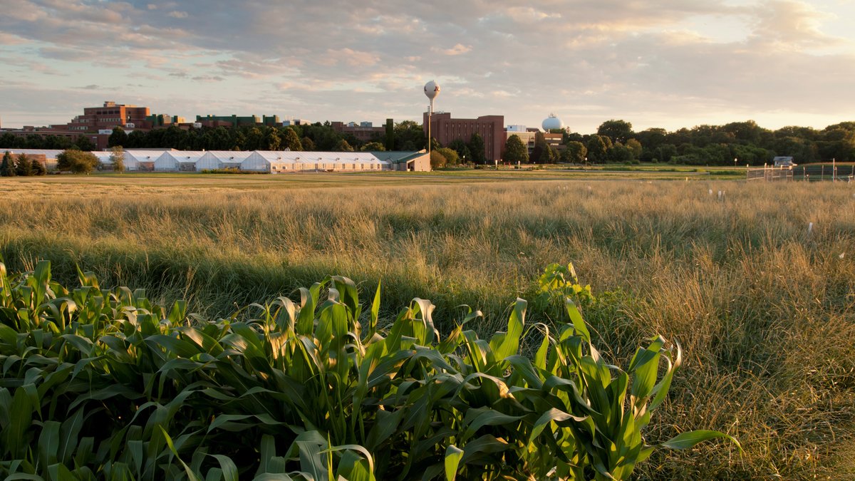 A photo of the St. Paul campus, with fields of crops in the foreground.