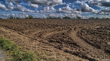 A photo of tire tracks in a field of soil; photo by Iain Merchant.
