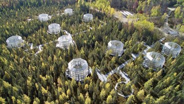 The Marcell Experimental Forest in northern Minnesota. Scientists are simulating different climates in these glass chambers to better understand how boreal forests will respond to rising temperatures. OAK RIDGE NATIONAL LABORATORY / U.S. DEPARTMENT OF ENERGY
