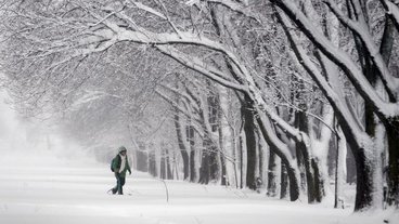 A photo of a person walking in snow shoes in a snowy scene; photo by Chris Kleponis