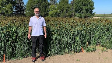 A photo of Paulo Pagliari standing in a field of crops 