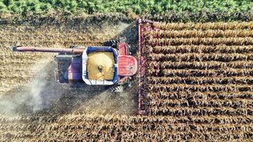 An aerial photo of a tractor harvesting corn